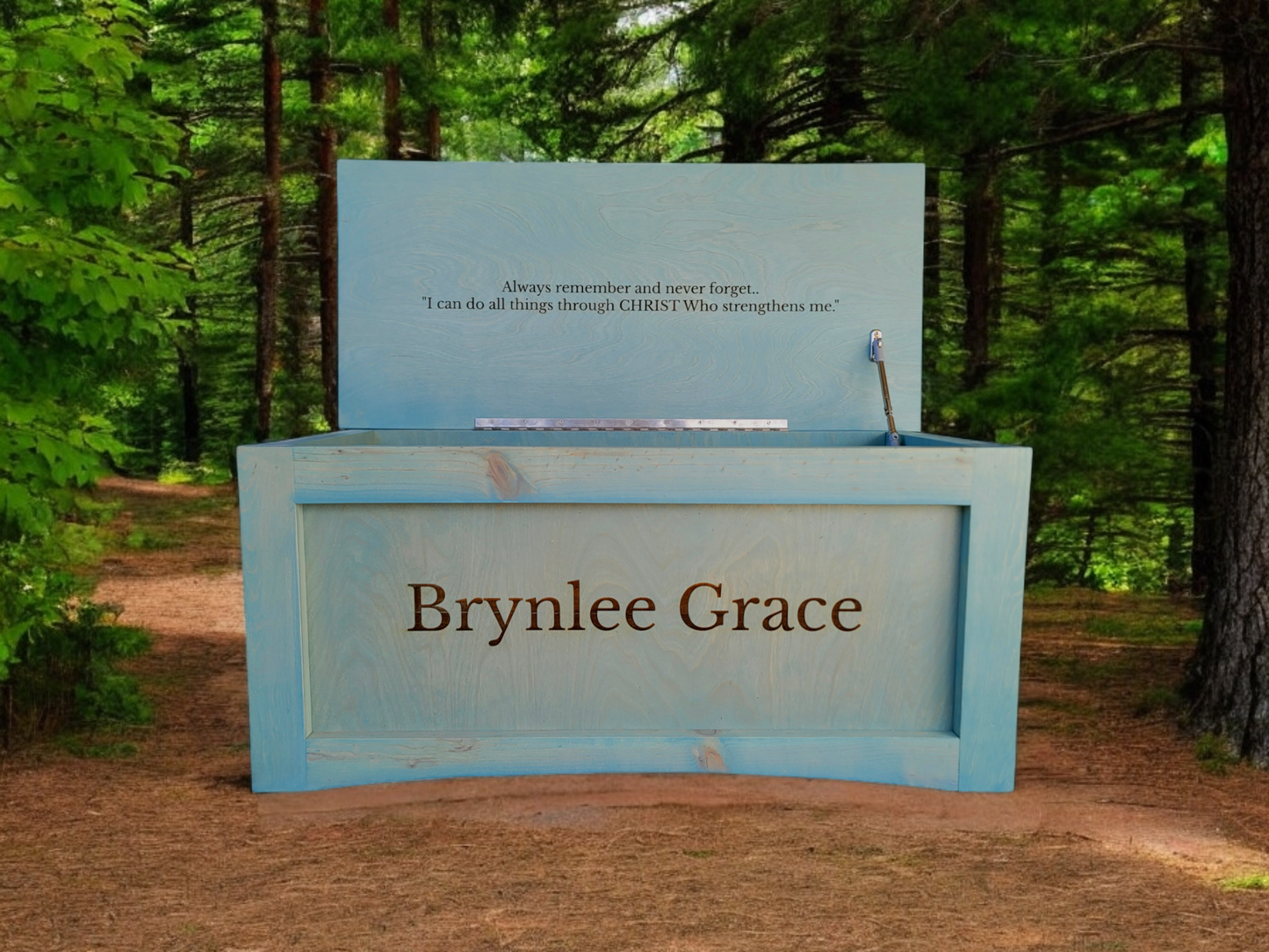 Rustic Toy Box / Blanket Box / Memory Chest / Toy Chest