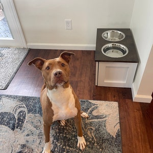 3 Bowl LARGE Raised Dog Bowl Feeding Station