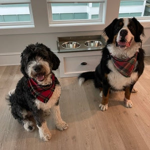3 Bowl LARGE Raised Dog Bowl Feeding Station