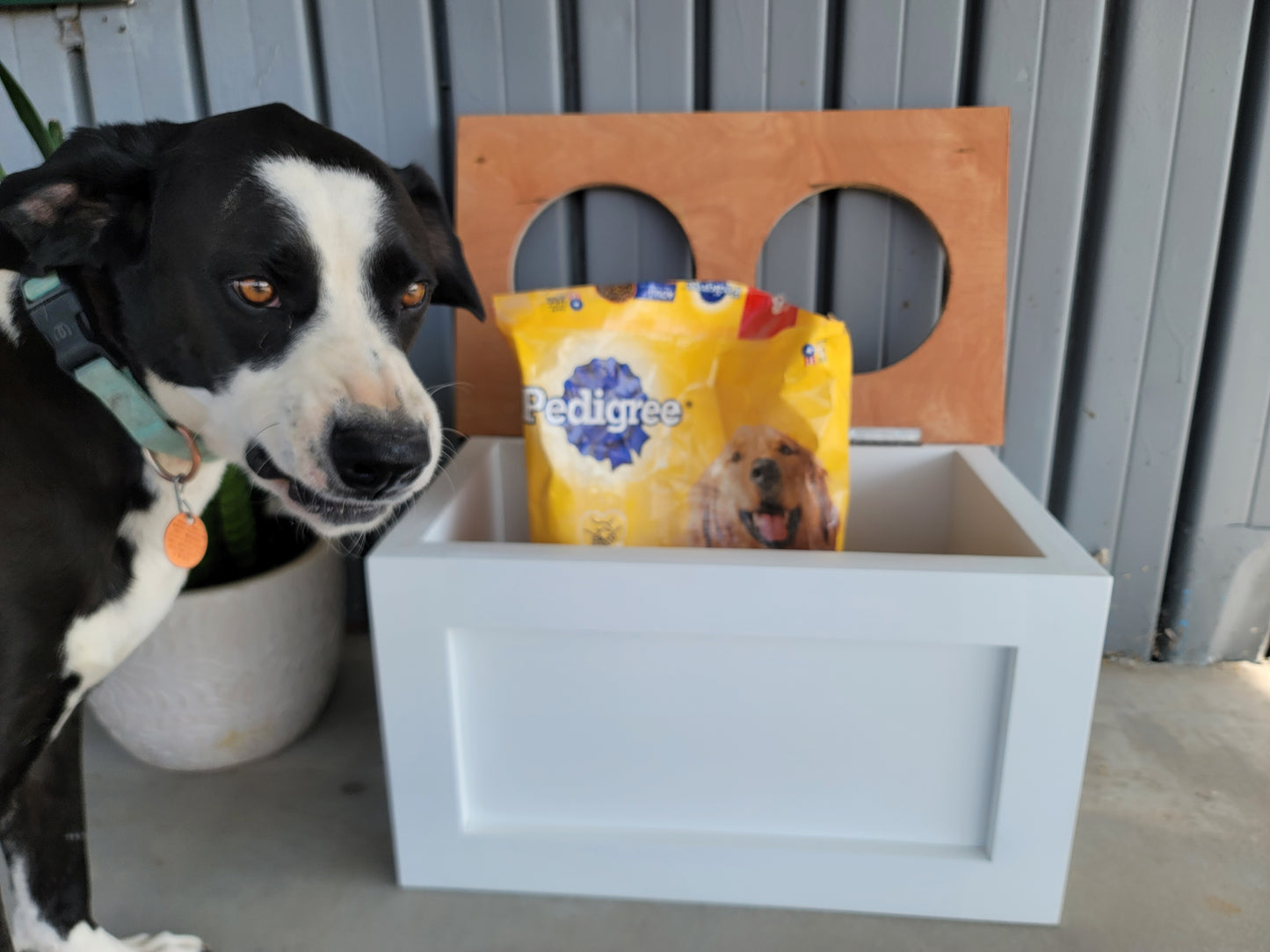 NEW! Lift-Top Raised Dog Bowl Feeder Stand in Farmhouse Style