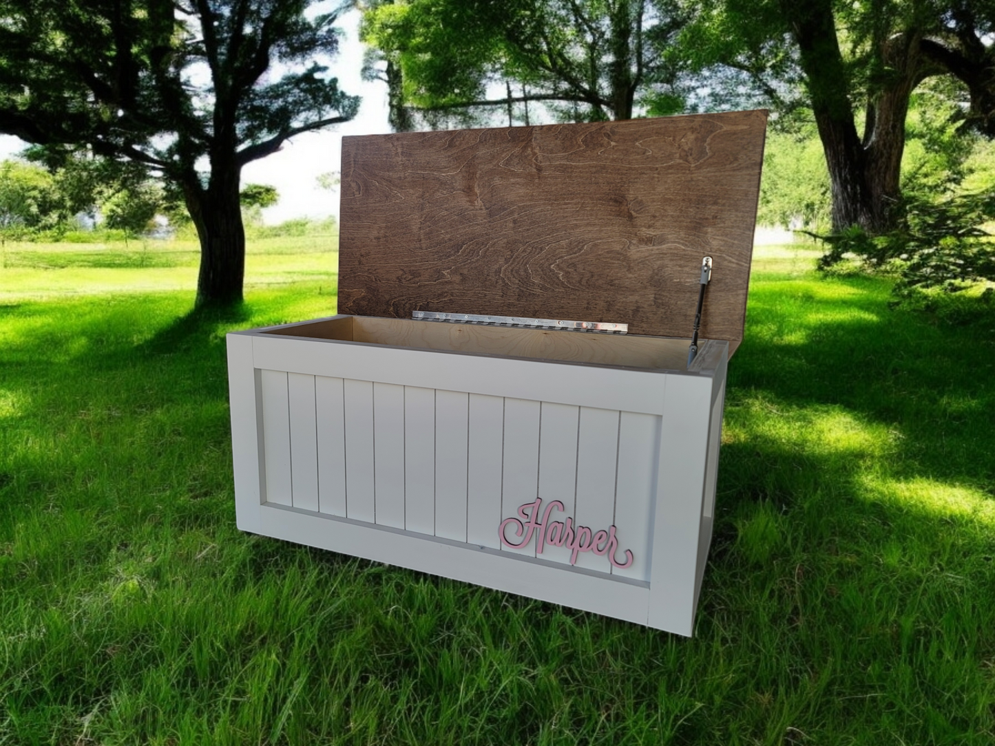 My Famous Shiplap Style Personalized Toy Box