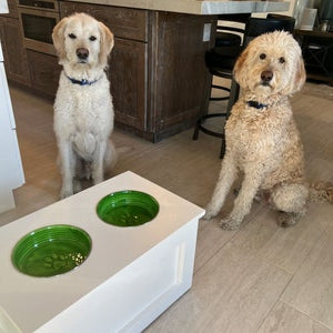 3 Bowl MEDIUM Raised Dog Bowl Feeding Station